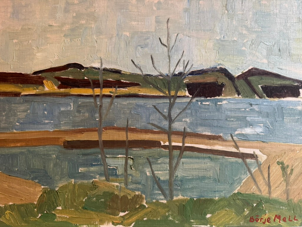 Swedish Lake Landscape