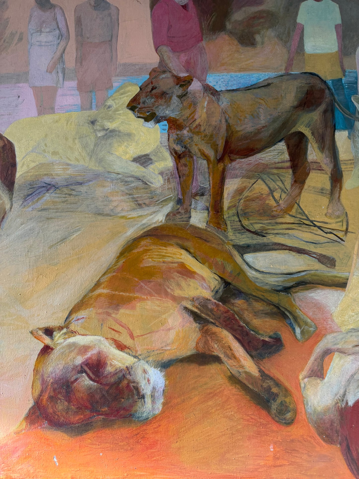 The Lions
