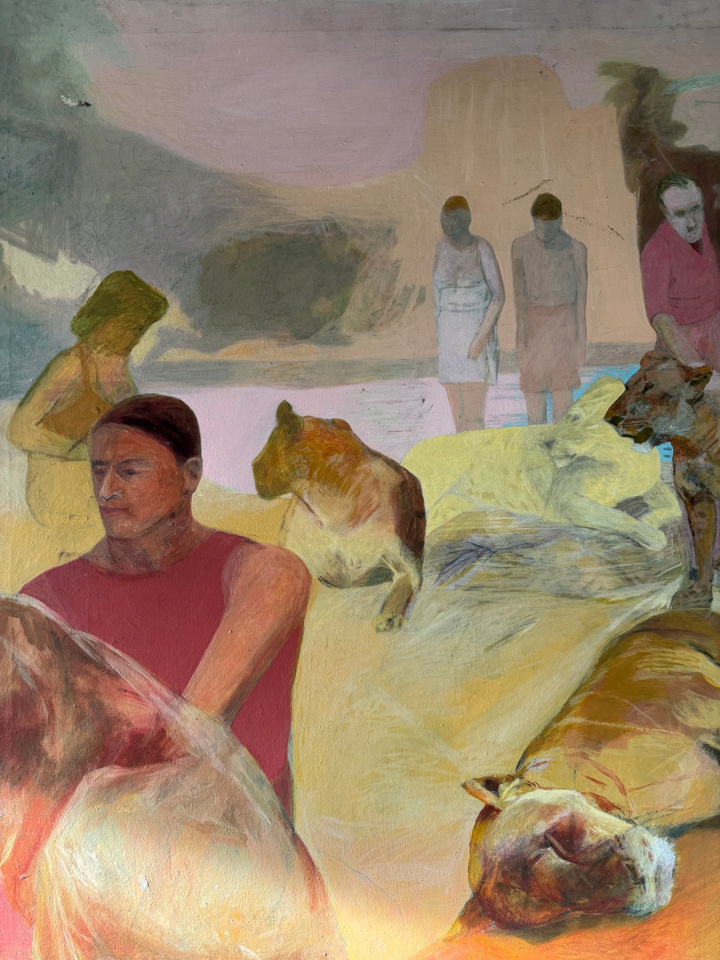 The Lions